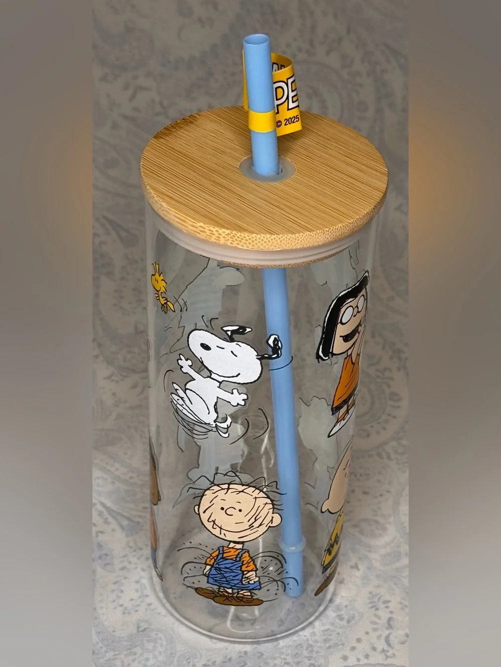 Peanuts Charlie Brown, Snoopy & Gang Glass Tumbler w/ Bamboo Lid, Plastic Straw